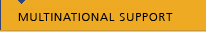 Multinational Support